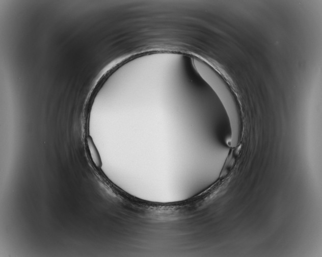 X0000083530846200703091510