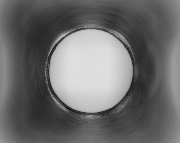 X0000083530847200703091510