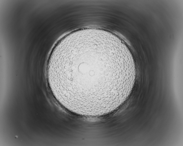 X0000083530848200703091510