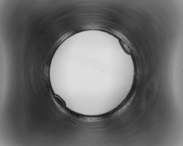 X0000083530849200703091510