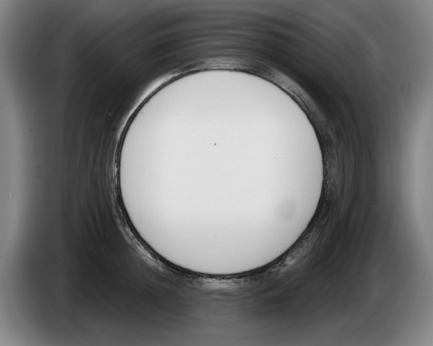 X0000083530852200703091510