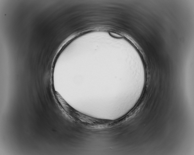 X0000083530853200703091510