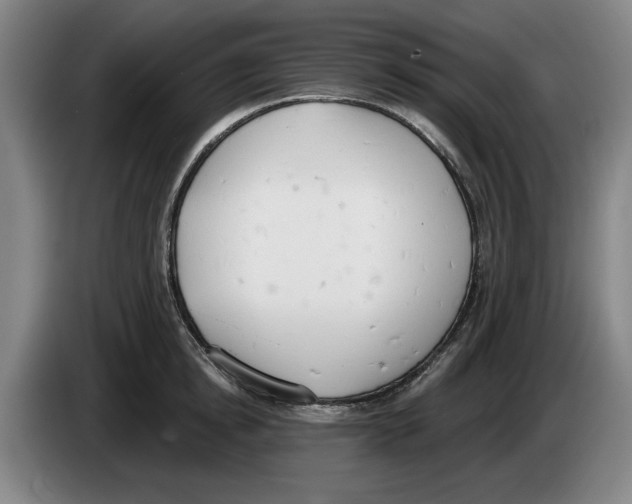 X0000083530854200703091510