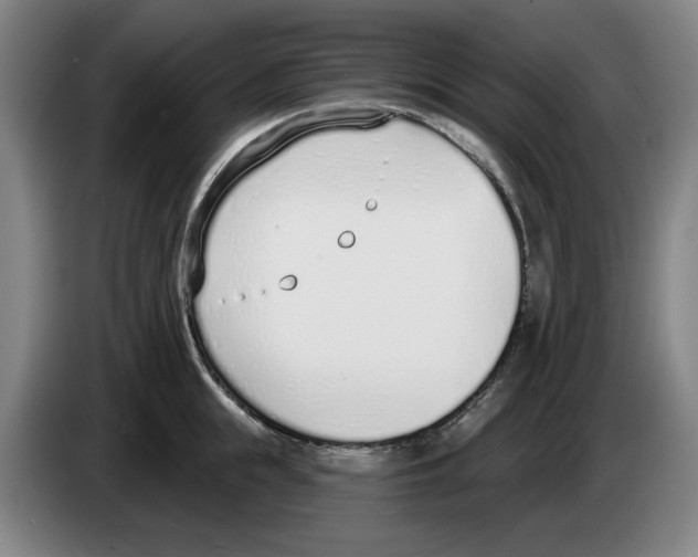 X0000083530855200703091510