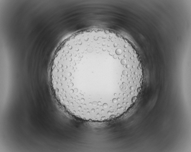 X0000083530856200703091510