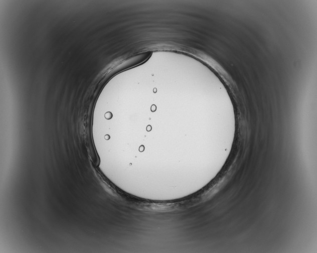 X0000083530857200703091510