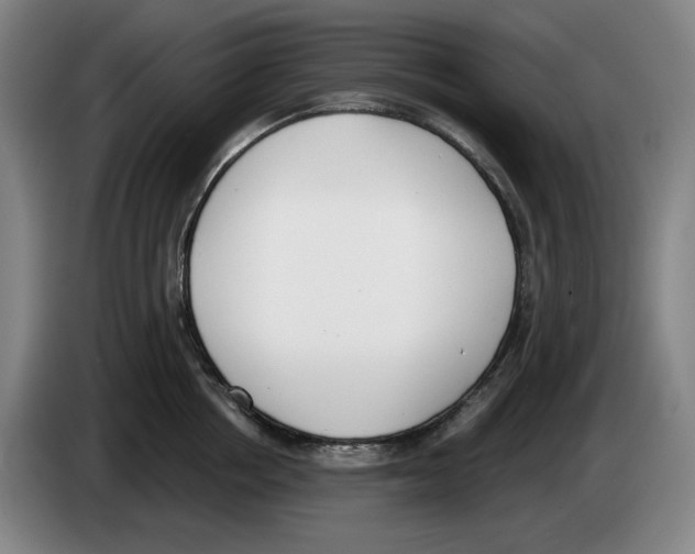 X0000083530858200703091510