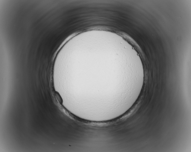 X0000083530860200703091510