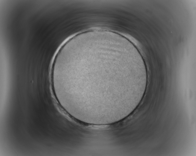 X0000083530864200703091510