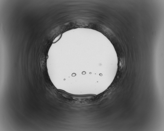 X0000083530867200703091510