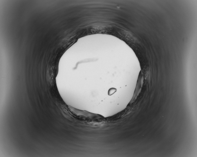 X0000083530868200703091510