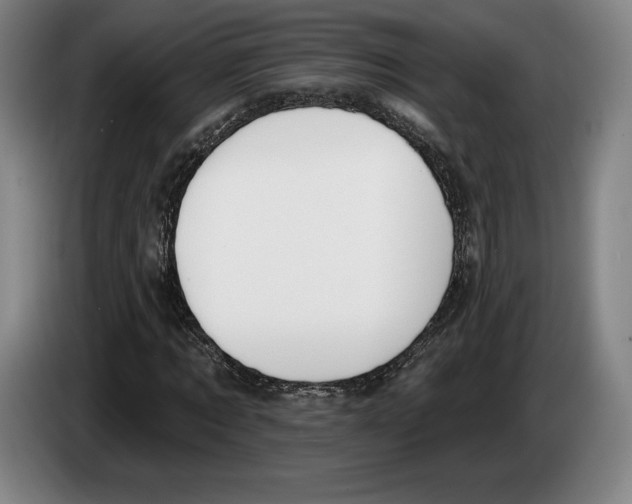 X0000083530869200703091510