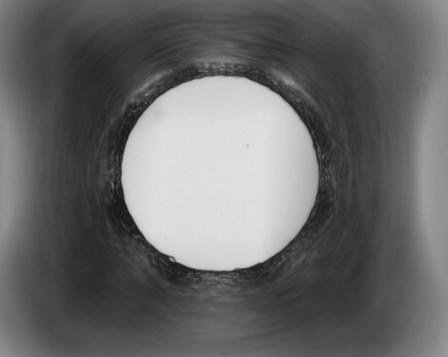 X0000083530870200703091510