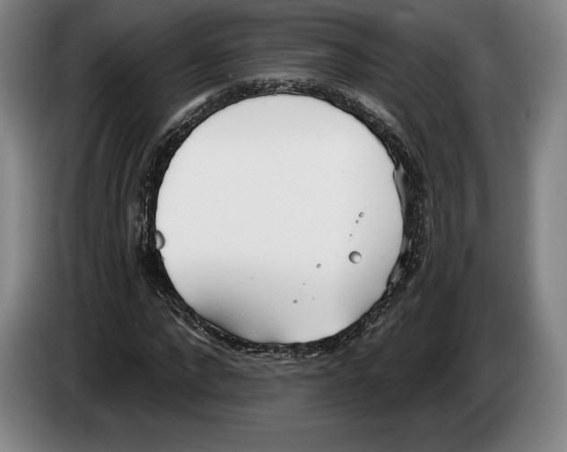 X0000083530872200703091510