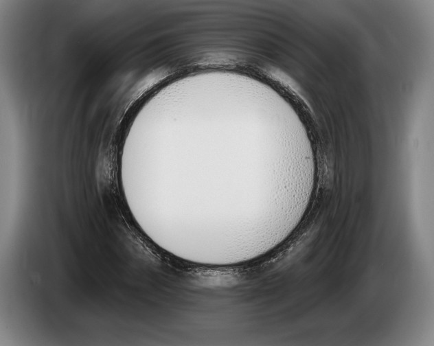 X0000083530874200703091510