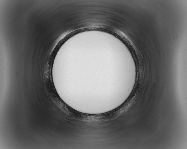 X0000083530875200703091510