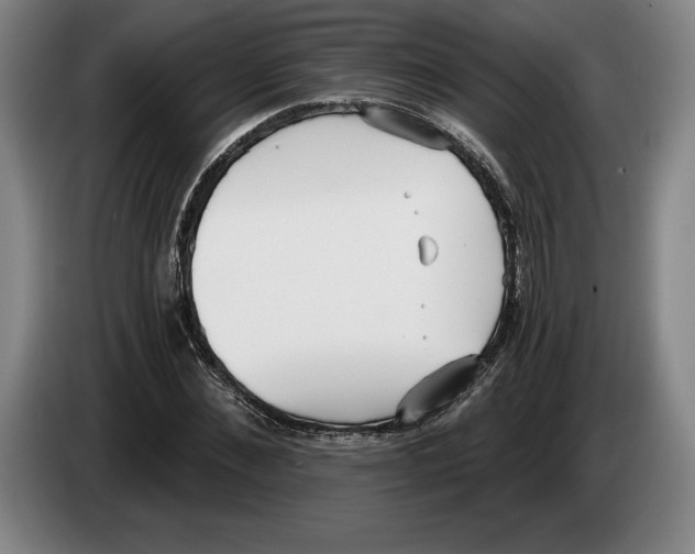 X0000083530876200703091510