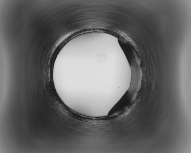 X0000083530877200703091510