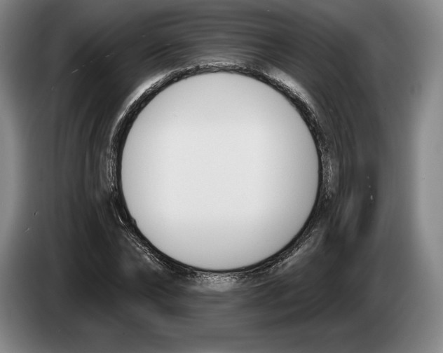 X0000083530878200703091510