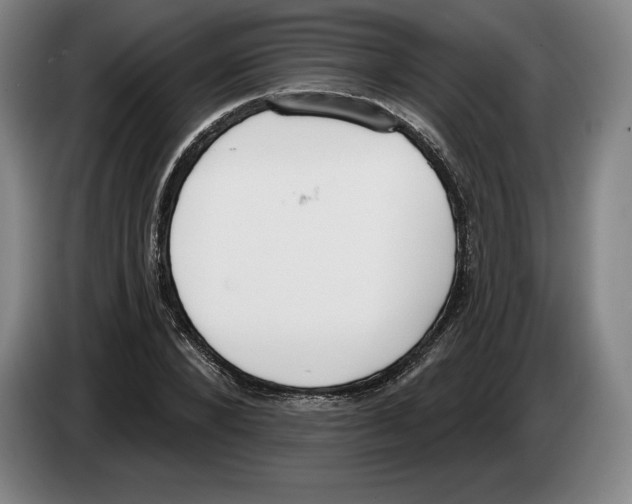 X0000083530880200703091510