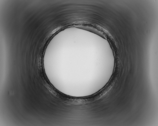 X0000083530881200703091510