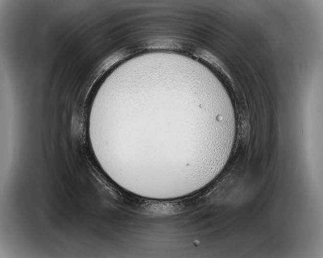 X0000083530882200703091510