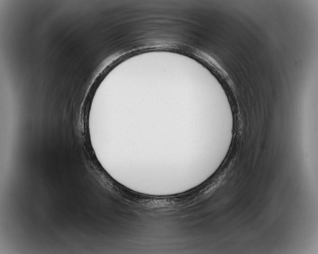 X0000083530883200703091510