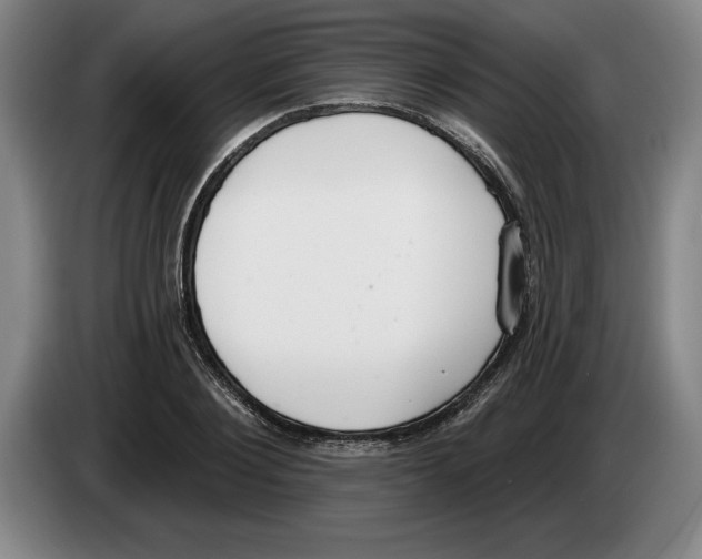 X0000083530884200703091509