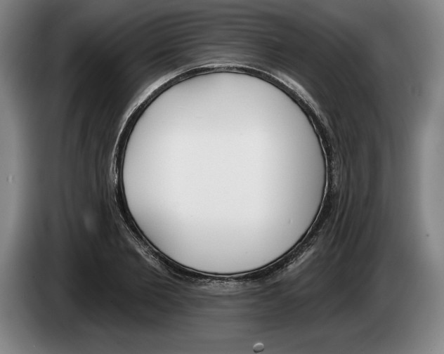 X0000083530885200703091509