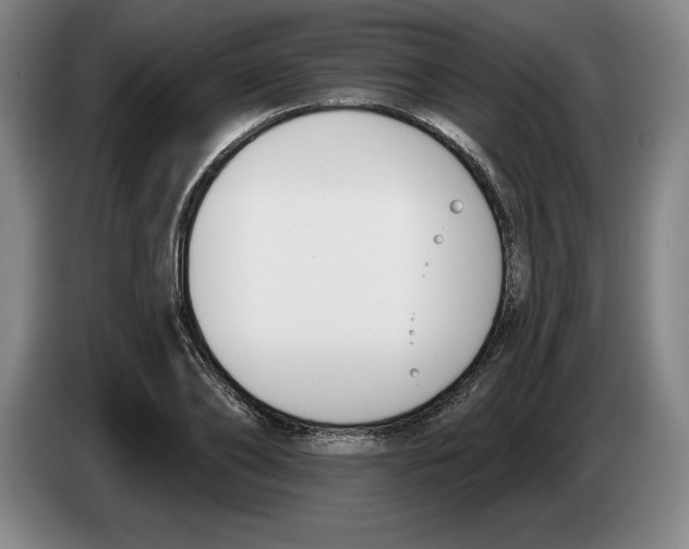 X0000083530886200703091509