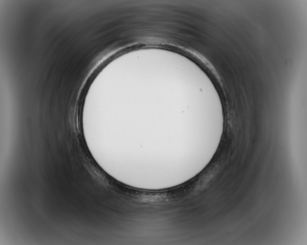 X0000083530887200703091509