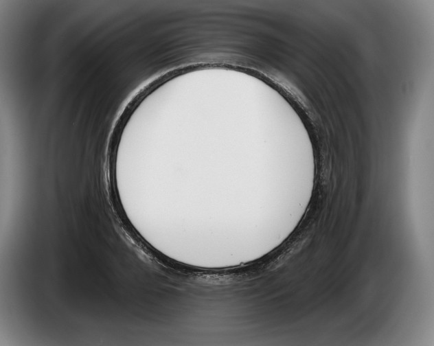 X0000083530888200703091509