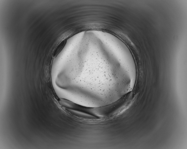 X0000083530889200703091509