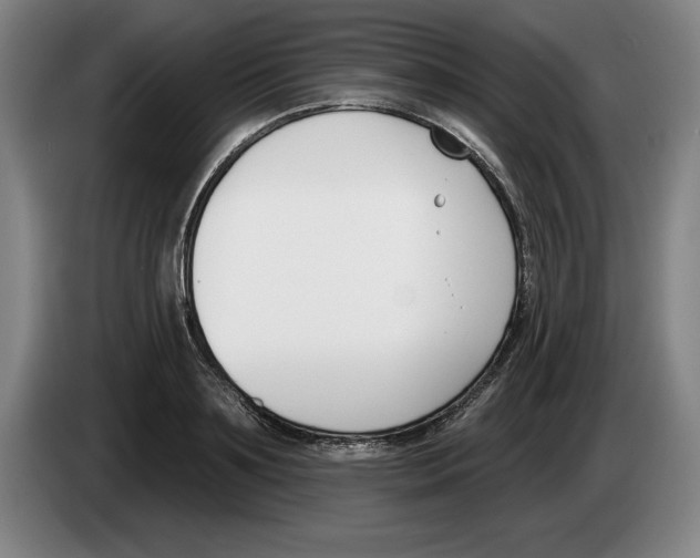 X0000083530891200703091509