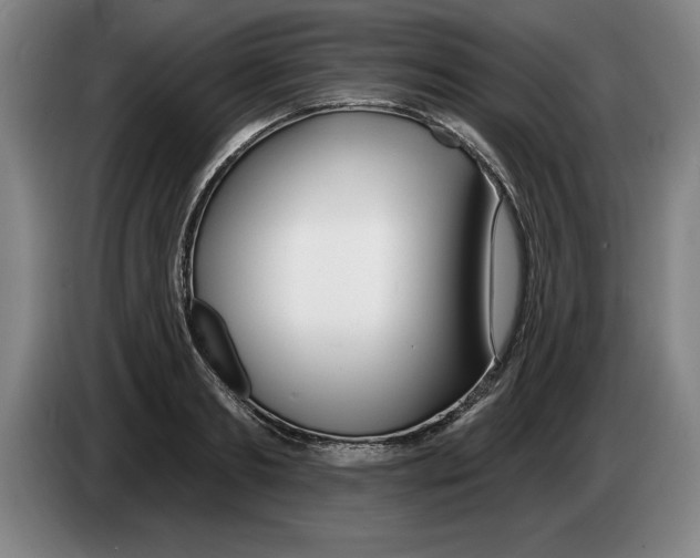 X0000083530893200703091509