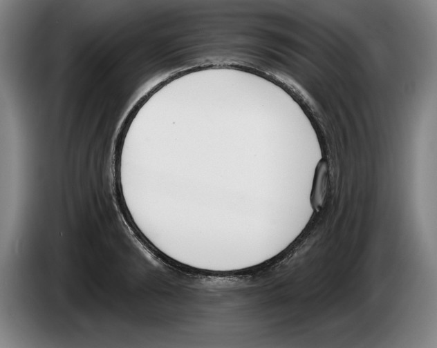 X0000083530894200703091509