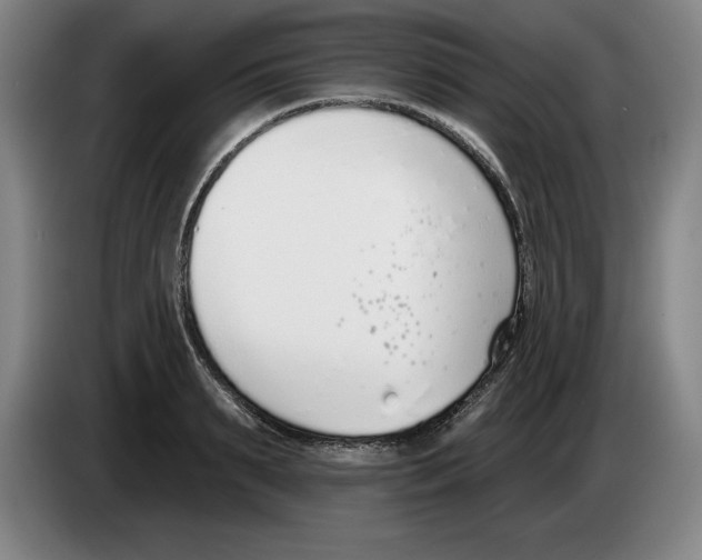 X0000083530895200703091509