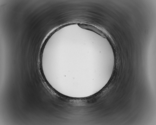 X0000083530896200703091509