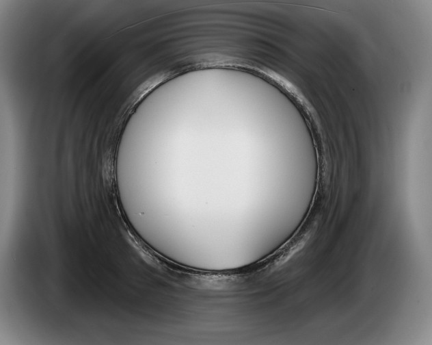 X0000083530897200703091509