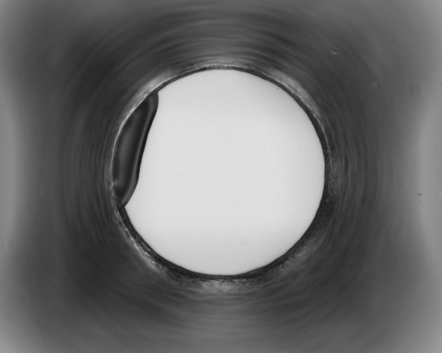 X0000083530898200703091509