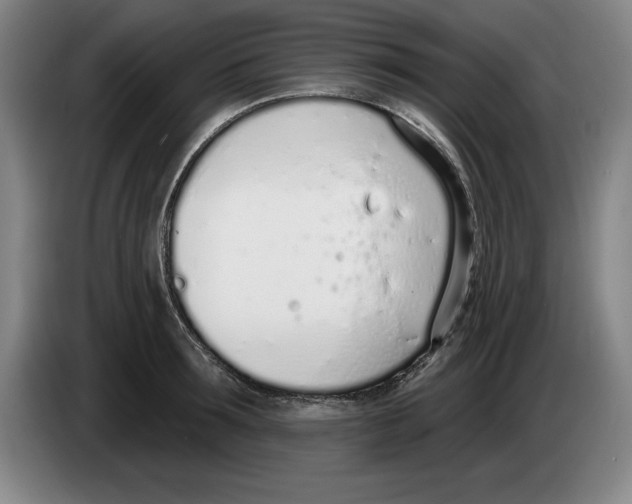 X0000083530899200703091509