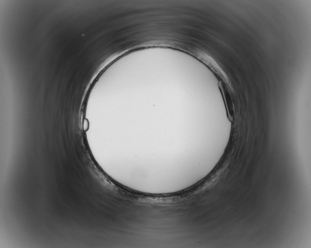 X0000083530900200703091509