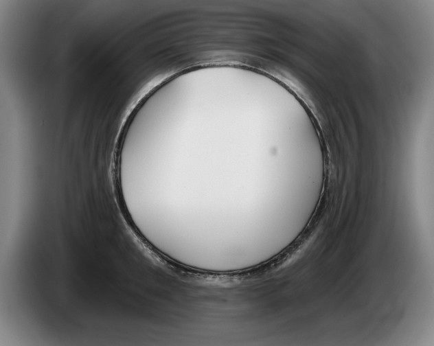 X0000083530901200703091509