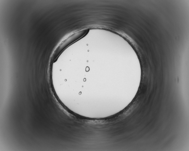 X0000083530902200703091509