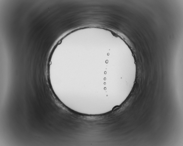 X0000083530904200703091509