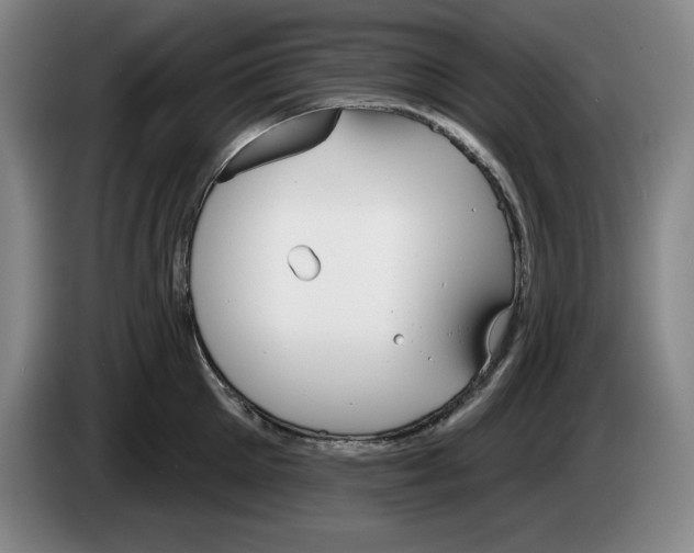 X0000083530905200703091509