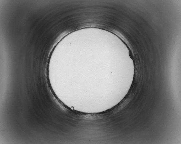 X0000083530906200703091509