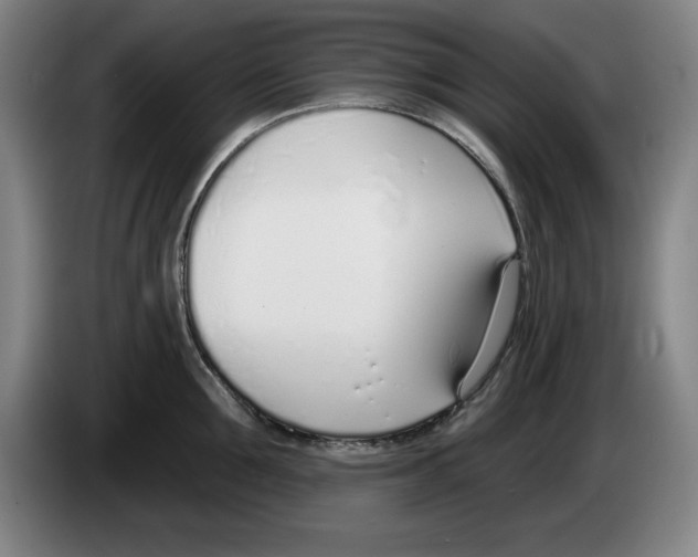 X0000083530907200703091509