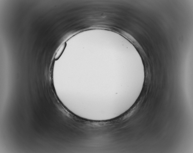 X0000083530908200703091509