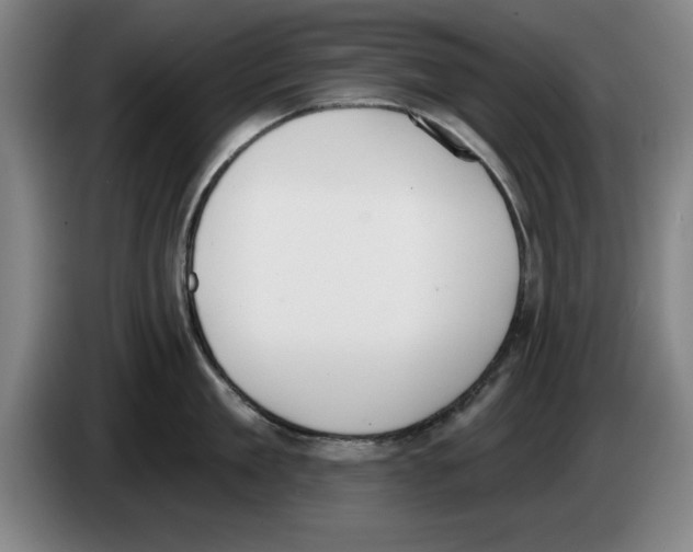 X0000083530909200703091509